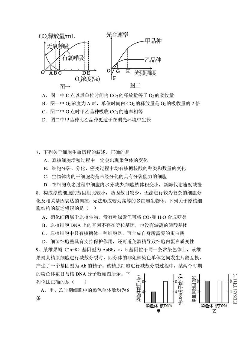 [生物]山东省泰安市新泰第一中学老校区(新泰中学)2024～2025学年高三上学期第一次适应训练月考试题(有答案)第3页
