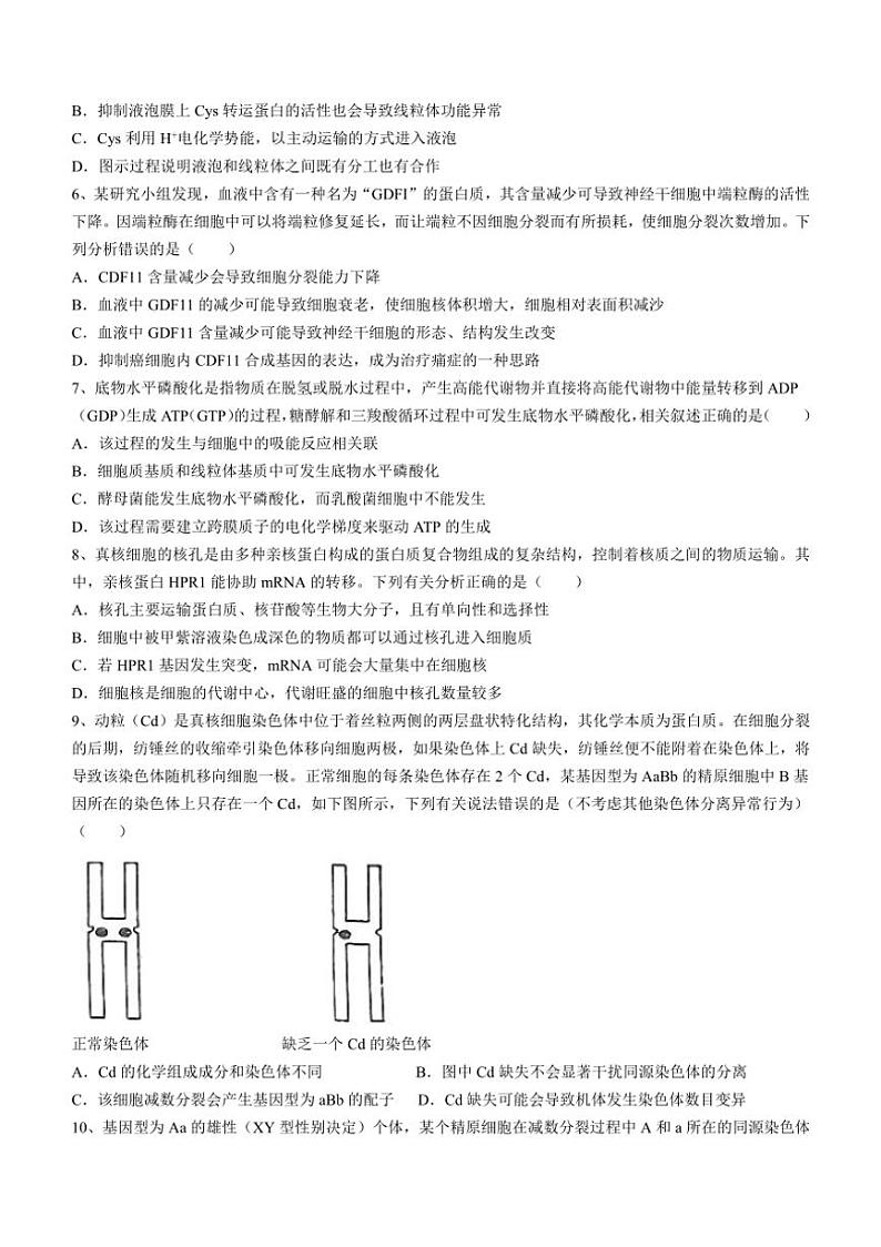 [生物]江苏省盐城市射阳县江苏省射阳中学2024～2025学年高三上学期10月月考试题(有答案)第2页