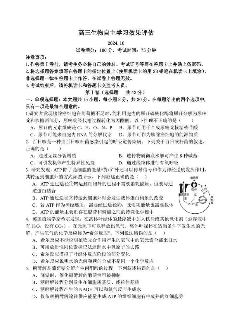 [生物]江苏省扬州市广陵区江苏省扬州中学2024～2025学年高三上学期10月月考试题(有答案)01