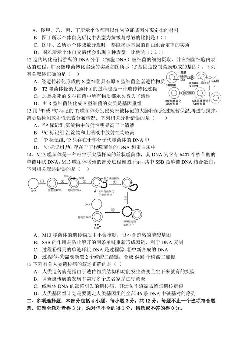 [生物]江苏省扬州市广陵区江苏省扬州中学2024～2025学年高三上学期10月月考试题(有答案)03