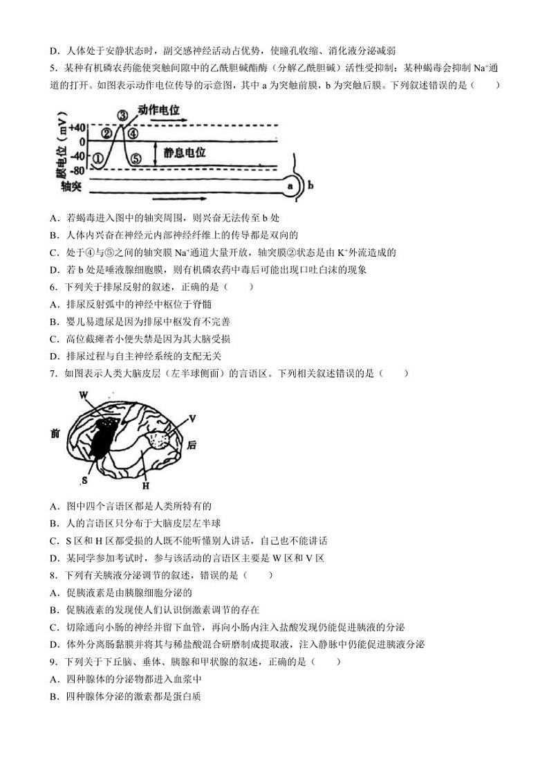 [生物]甘肃省武威市天祝藏族自治县第一中学2024～2025学年高二上学期10月月考试题(有答案)第2页