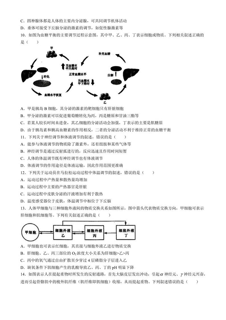 [生物]甘肃省武威市天祝藏族自治县第一中学2024～2025学年高二上学期10月月考试题(有答案)第3页
