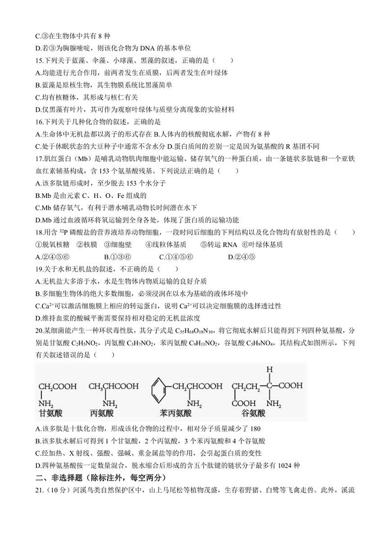 [生物]福建省宁德市某校2024～2025学年高一上学期9月月考试题(有答案)第3页