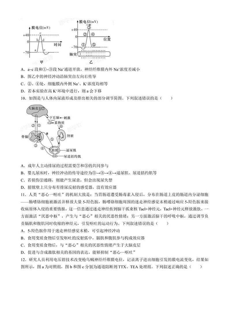[生物]湖南省长沙市长郡中学2024—2025学年高二上学期第一次月考试题(有答案)03