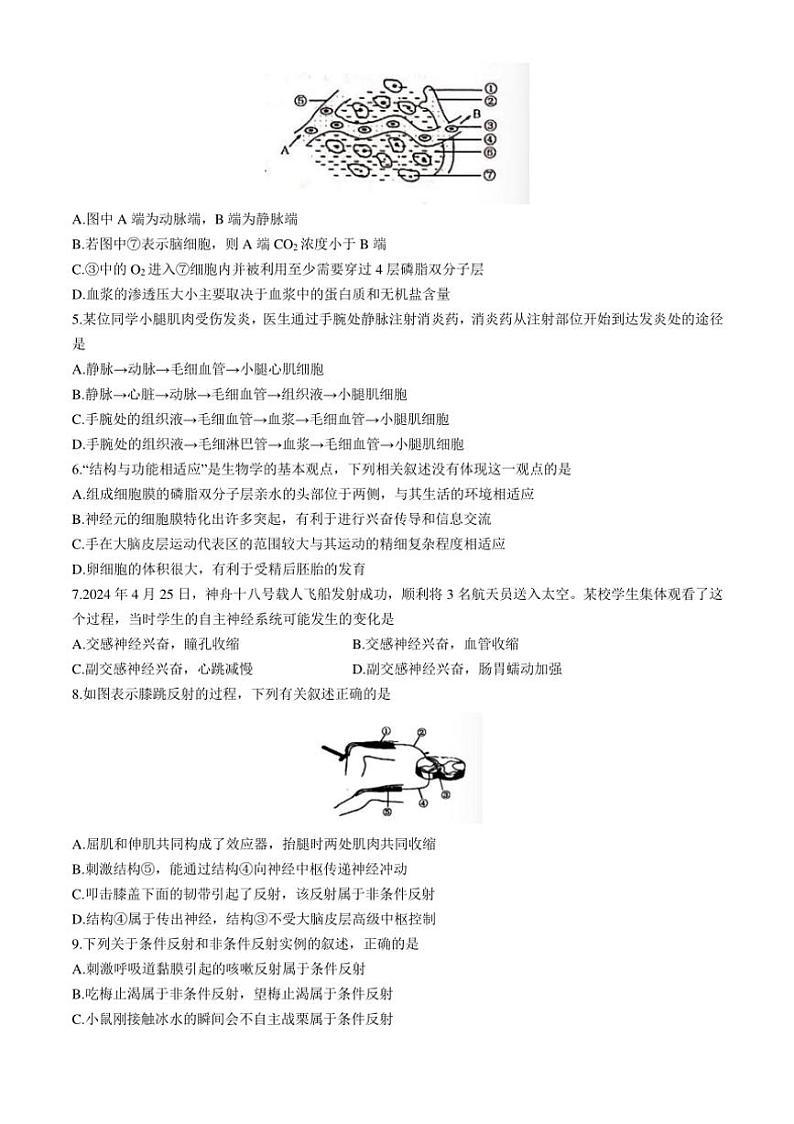 [生物]山西省部分学校2024～2025学年高二上学期10月月考试题(有答案)第2页