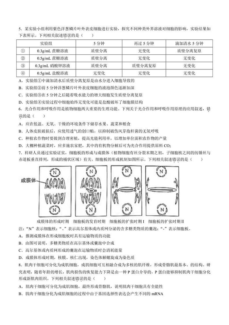 [生物]江西省鹰潭市余江区鹰潭市余江区第一中学2024～2025学年高三上学期10月月考试题(有答案)第2页