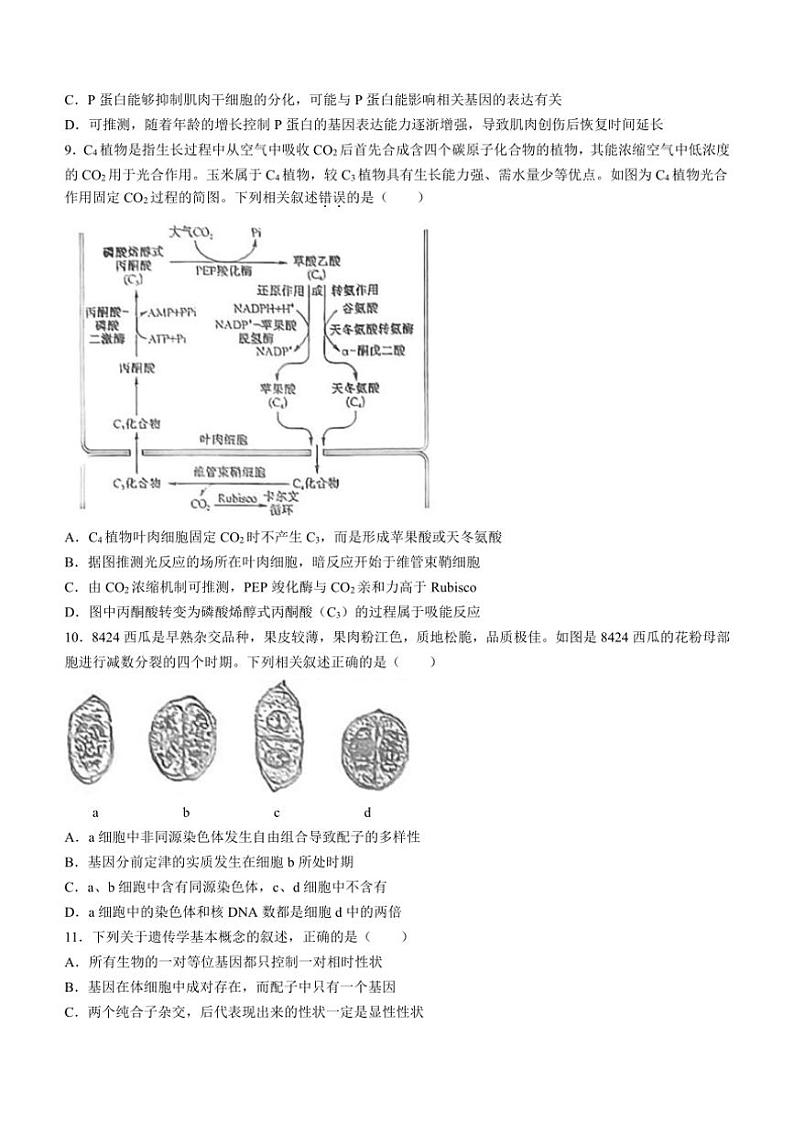 [生物]江西省鹰潭市余江区鹰潭市余江区第一中学2024～2025学年高三上学期10月月考试题(有答案)第3页