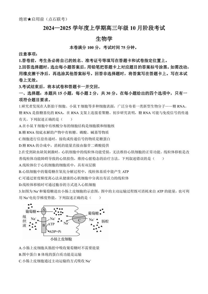 [生物]辽宁省部分学校2024～2025学年高三上学期10月阶段考试试题(有解析)第1页