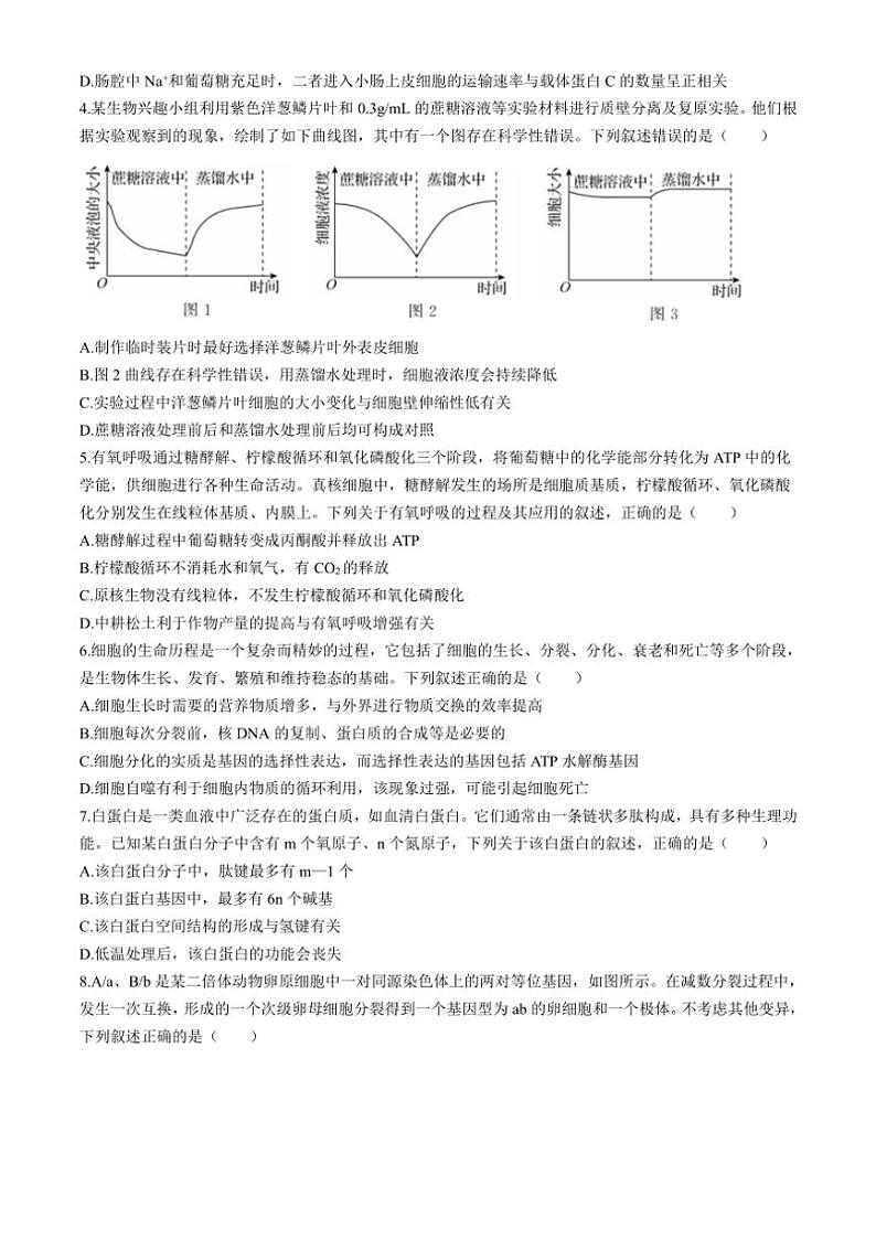 [生物]辽宁省部分学校2024～2025学年高三上学期10月阶段考试试题(有解析)第2页