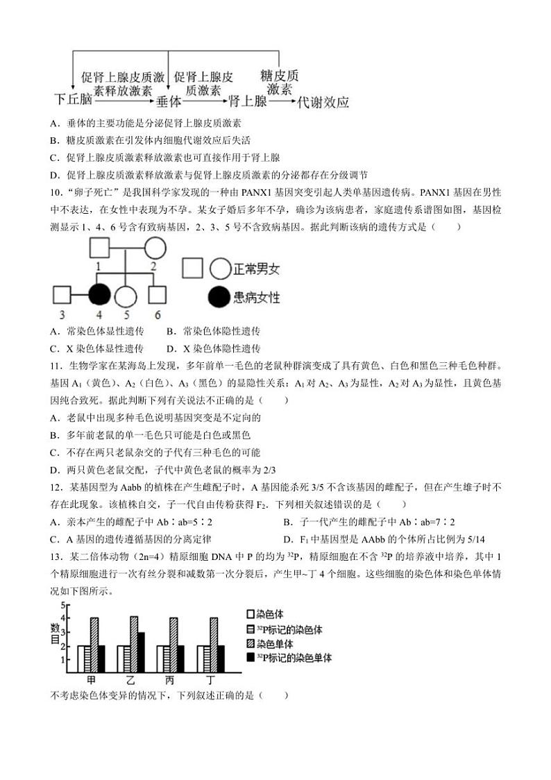 [生物]天津市和平区双菱中学2024～2025学年高三上学期10月第一次月考试题(有答案)第3页