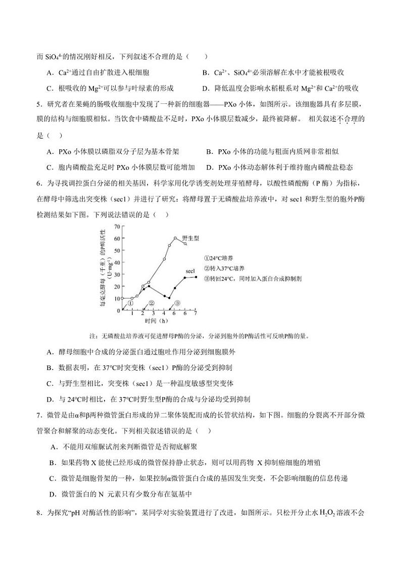 [生物]广东省深圳市高级中学2024～2025学年高三上学期第一次诊断测试月考试题(有答案)02