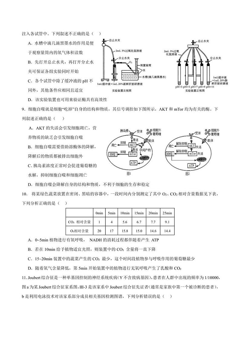 [生物]广东省深圳市高级中学2024～2025学年高三上学期第一次诊断测试月考试题(有答案)03