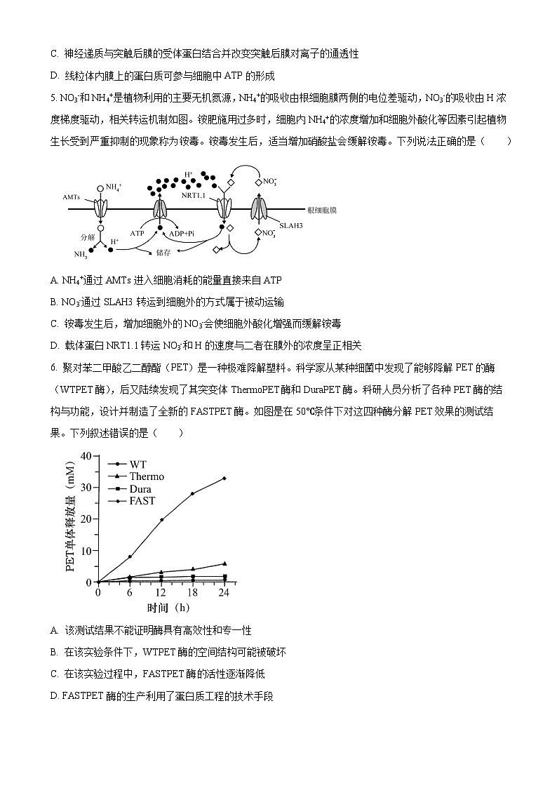 四川省成都市成华区成都列五中学2024-2025学年高三上学期9月月考生物试题  Word版无答案第2页