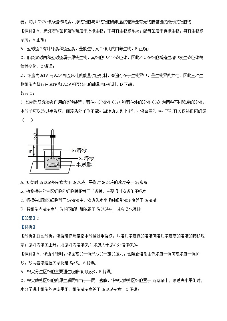四川省成都市成华区成都列五中学2024-2025学年高三上学期9月月考生物试题  Word版含解析第2页