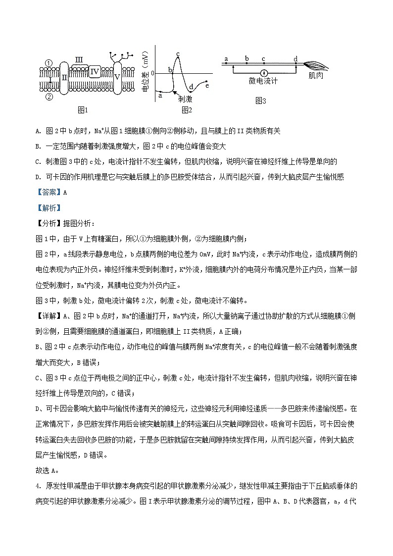 湖北省2023_2024学年高三生物上学期12月月考试卷含解析第3页