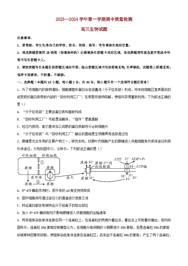 山东省济宁市兖州区2023_2024学年高三生物上学期期中试题含解析第1页