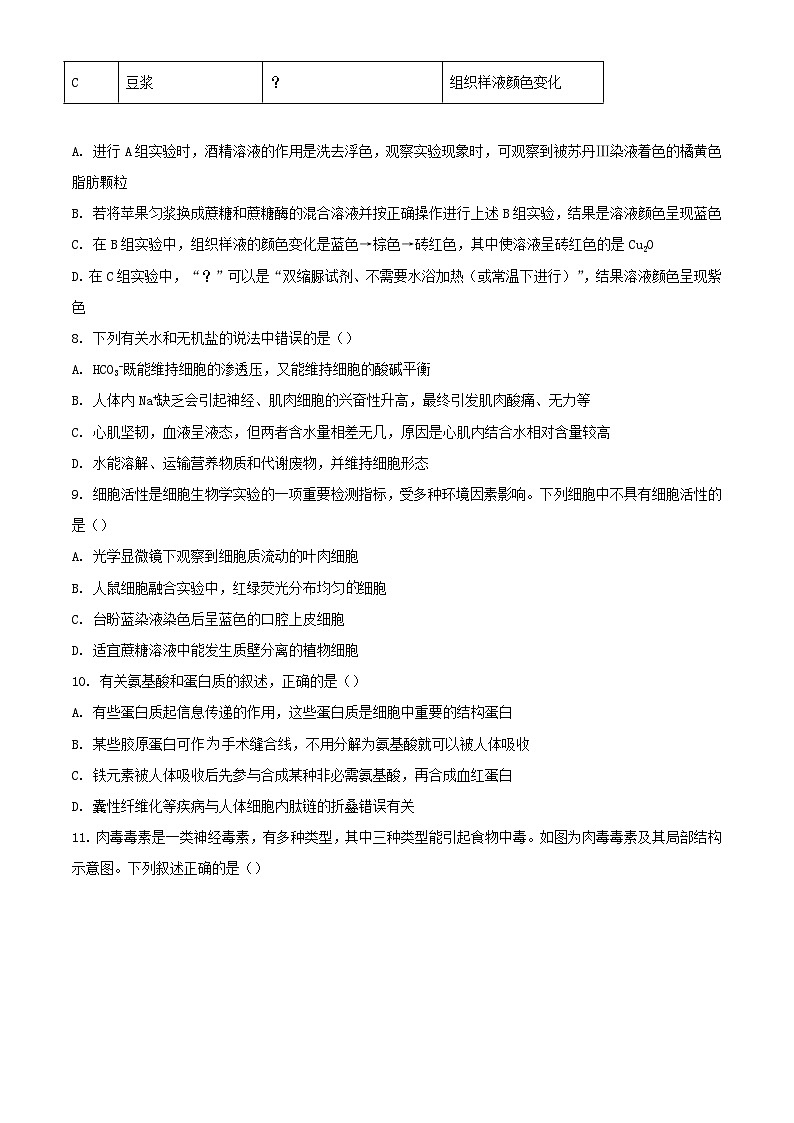 山东省济宁市邹城市2023_2024学年高一生物上学期11月期中试题第3页