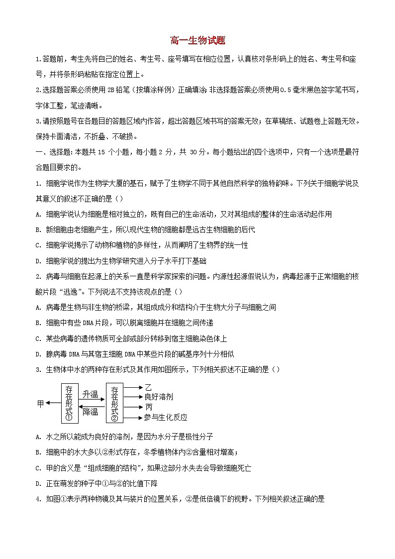山东省泰安市肥城市2023_2024学年高一生物上学期期中试题含解析01