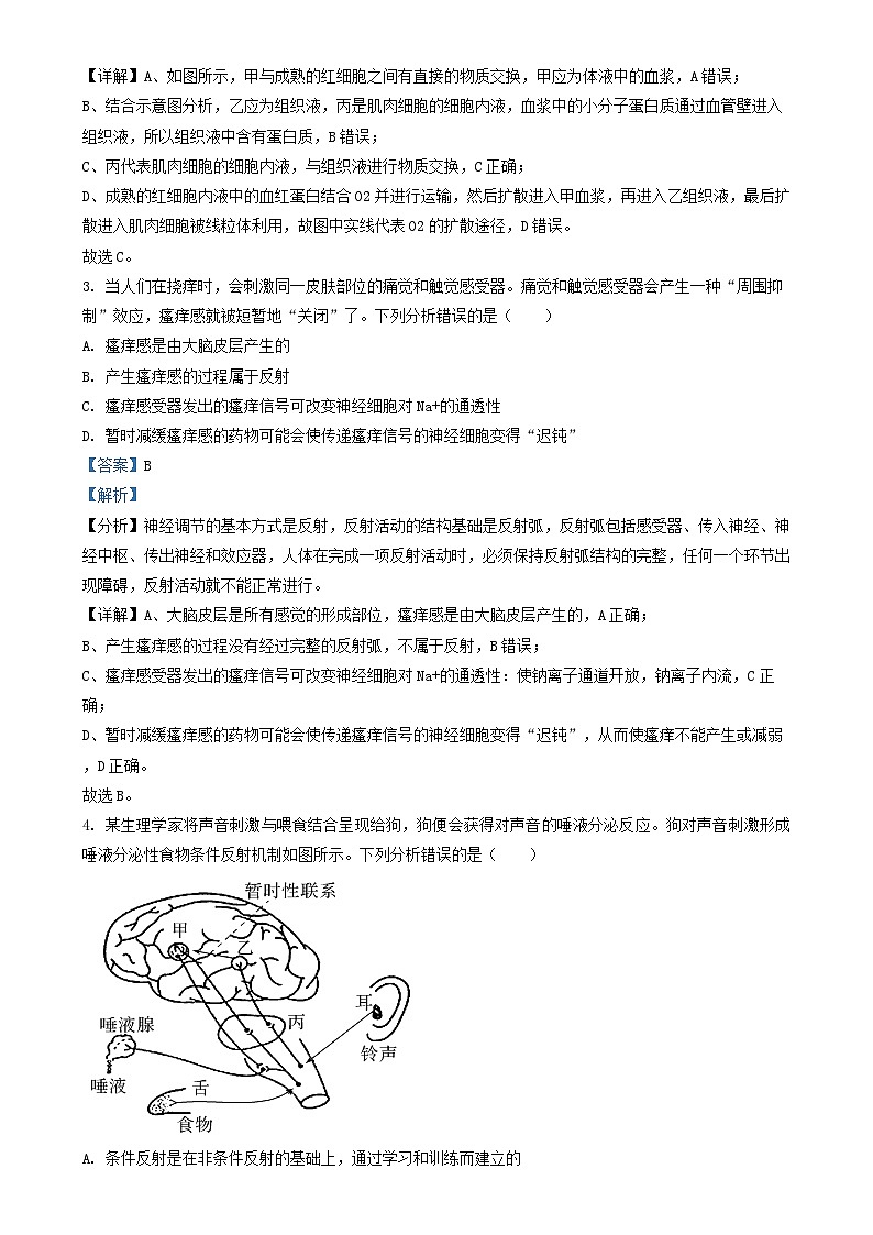 山西省朔州市怀仁市2023_2024学年高二生物上学期期中试题含解析第2页