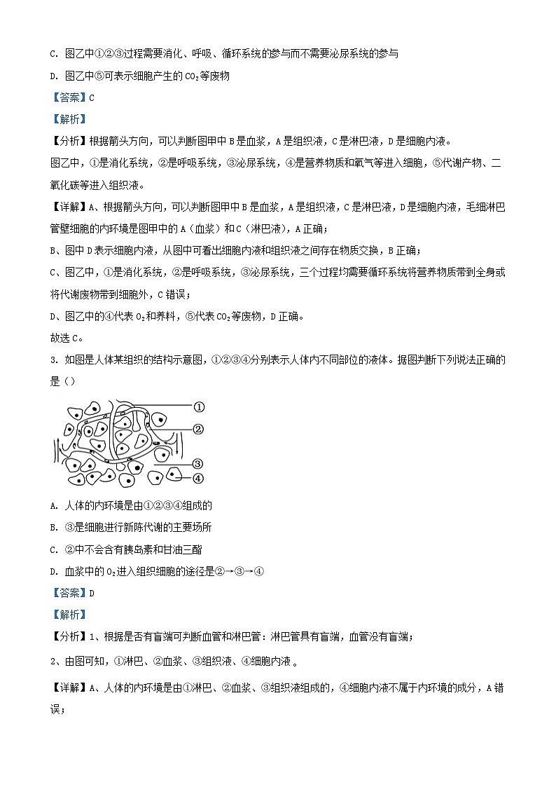 四川省成都市2023_2024学年高二生物上学期期中试题含解析第2页