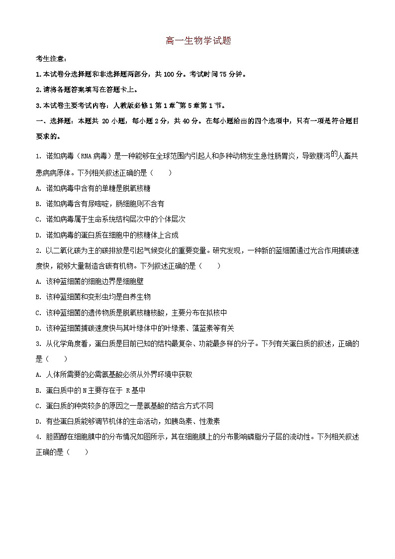四川省2023_2024学年高一生物上学期期中联合学业质量检测试题含解析第1页