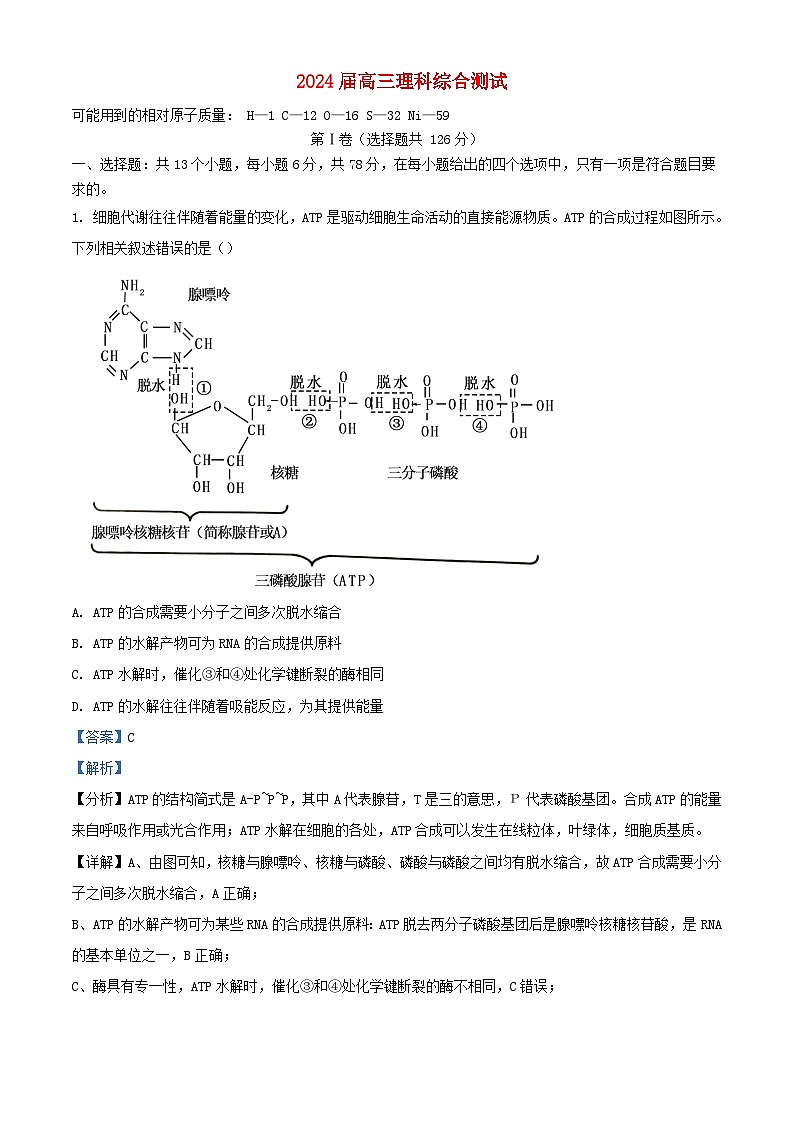 四川省成都市2023_2024学年高三生物上学期12月考试试题含解析第1页