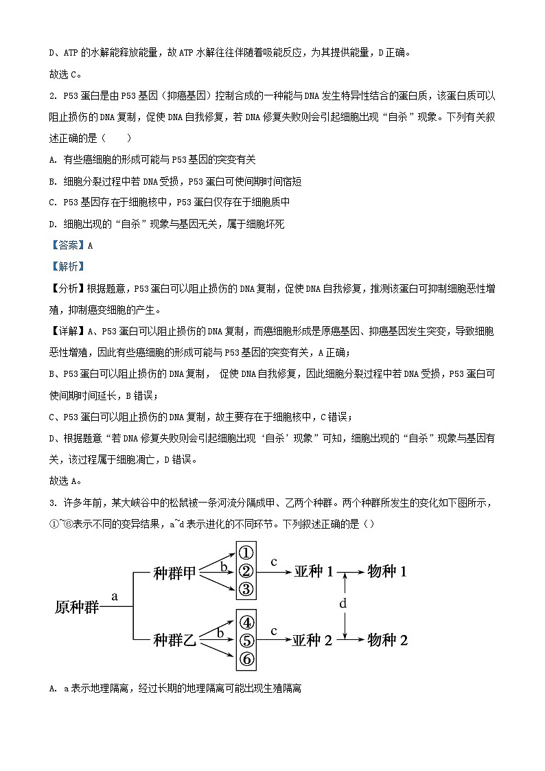 四川省成都市2023_2024学年高三生物上学期12月考试试题含解析第2页