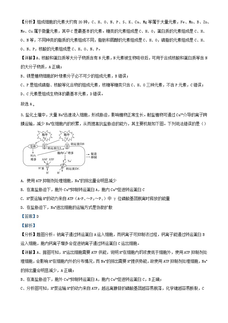福建省泉州市德化县2024届高三生物上学期12月联考试题含解析第2页