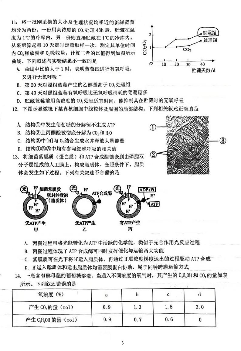 福建省厦门市2023_2024学年高一生物上学期12月月考试题pdf第3页