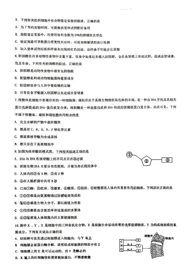 广西2023_2024学年高一生物上学期12月分科指导考试pdf第2页