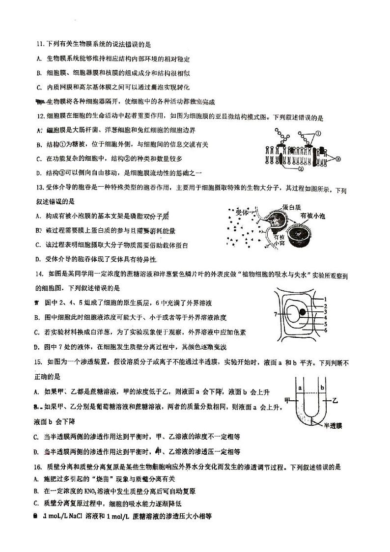 广西2023_2024学年高一生物上学期12月分科指导考试pdf第3页