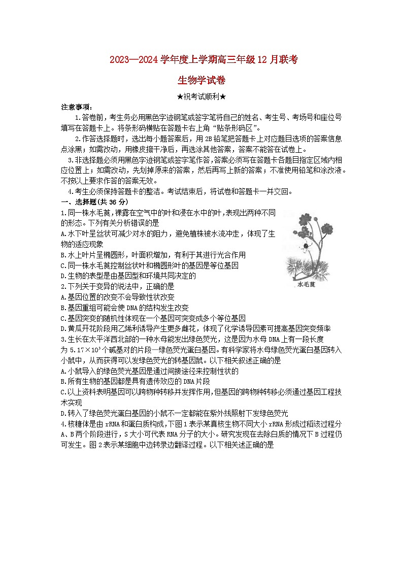 湖北省2023_2024学年高三生物上学期12月联考试卷第1页