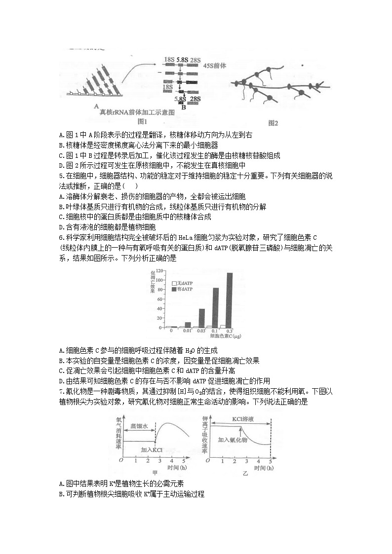 湖北省2023_2024学年高三生物上学期12月联考试卷第2页