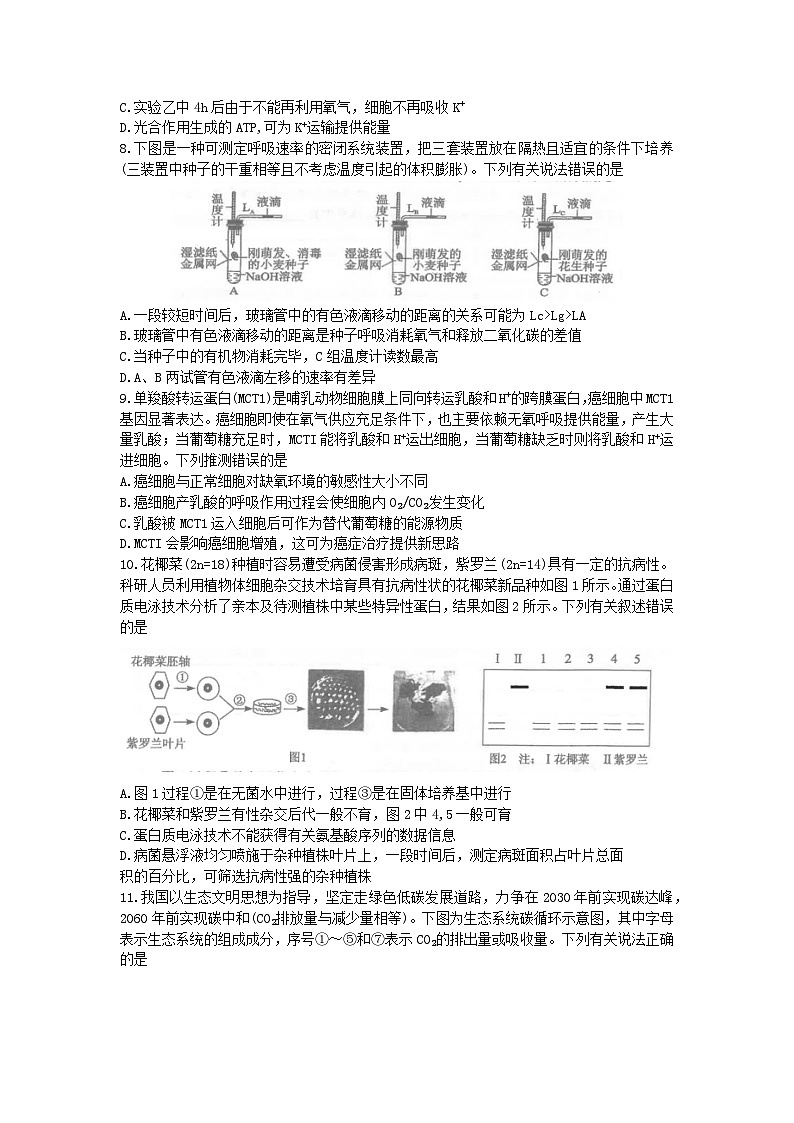 湖北省2023_2024学年高三生物上学期12月联考试卷第3页