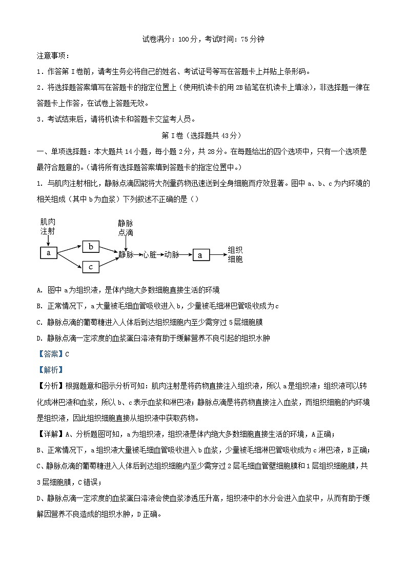 江苏省2023_2024学年高二生物上学期11月期中试题含解析第1页