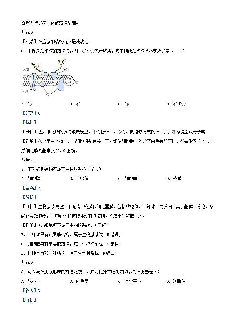 江苏省2023_2024学年高一生物上学期11月期中试题含解析03