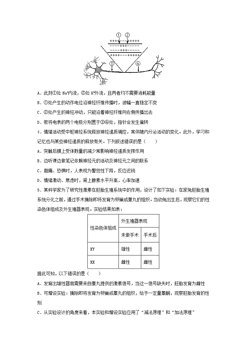 江苏省泰州市联盟五校2023_2024学年高二生物上学期期中试题第2页