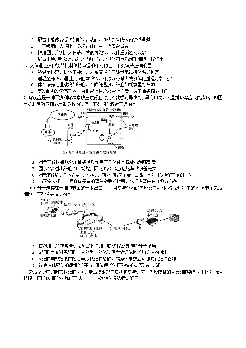 江苏省扬州市高邮市2023_2024学年高二生物上学期12月月考试题无答案02
