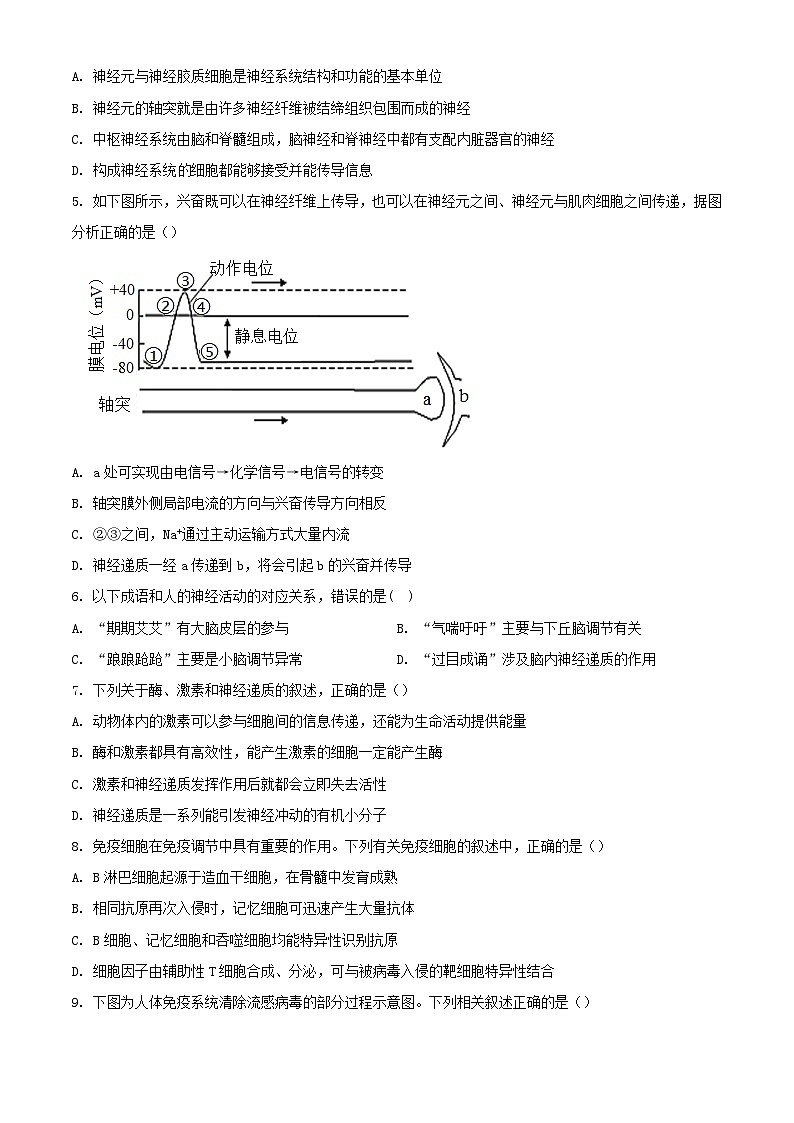 江苏省扬州市邗江区2023_2024学年高二生物上学期期中调研测试含解析第2页
