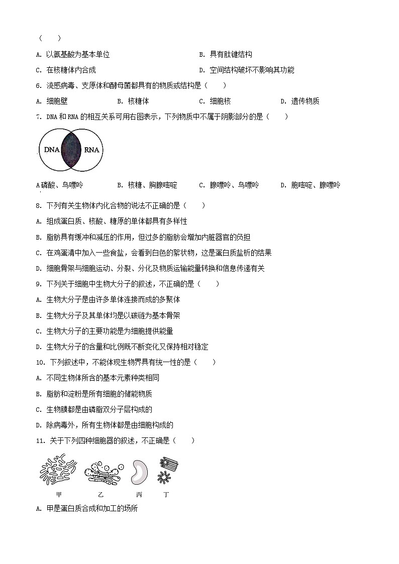 江苏省扬州市邗江区2023_2024学年高一生物上学期期中调研测试含解析第2页