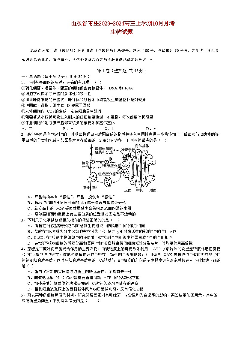 山东省枣庄2023_2024高三生物上学期10月月考试题第1页