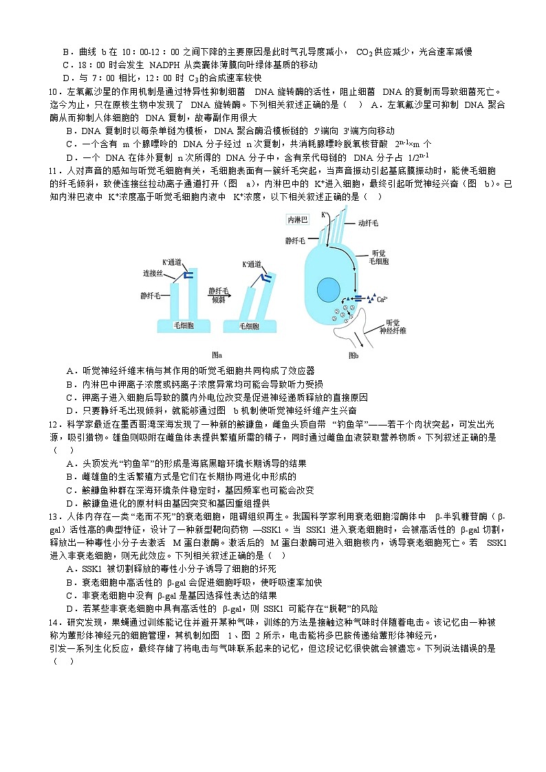 山东省枣庄2023_2024高三生物上学期10月月考试题第3页