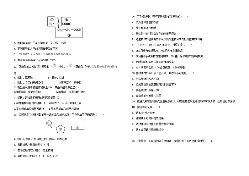 福建省莆田市五校联盟2023_2024学年高一生物上学期期中试题第2页