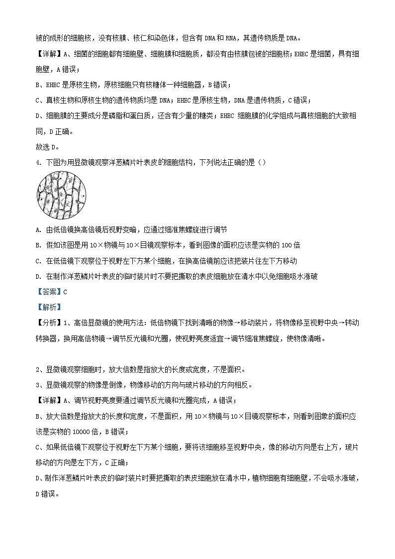 福建省三明市五县联合质检2023_2024学年高一生物上学期期中试题含解析第3页