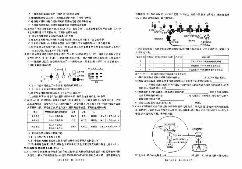 湖北省2023_2024高三生物上学期10月联考试题pdf第3页