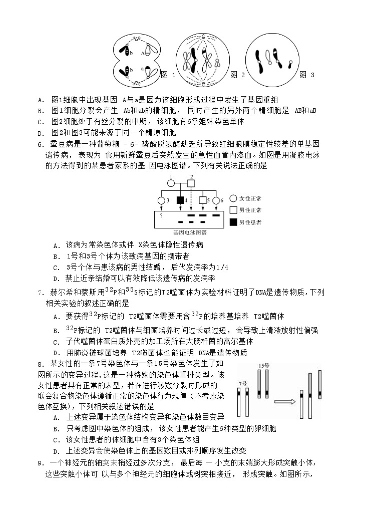 湖南省2023_2024高三生物上学期10月大联考试题第2页
