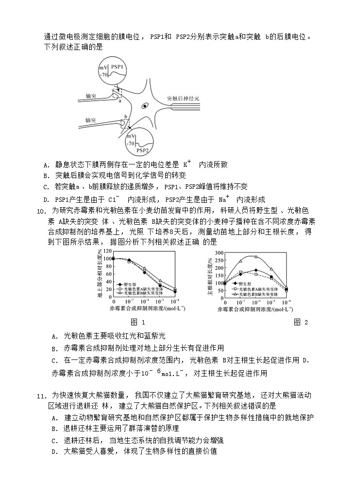 湖南省2023_2024高三生物上学期10月大联考试题第3页