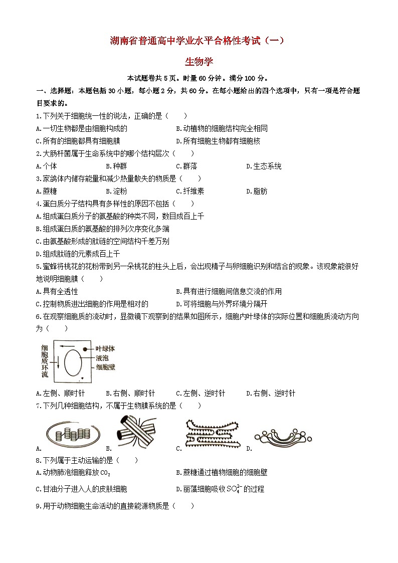 湖南省2024年普通高中学业水平合格性模拟考试高考生物仿真卷一01