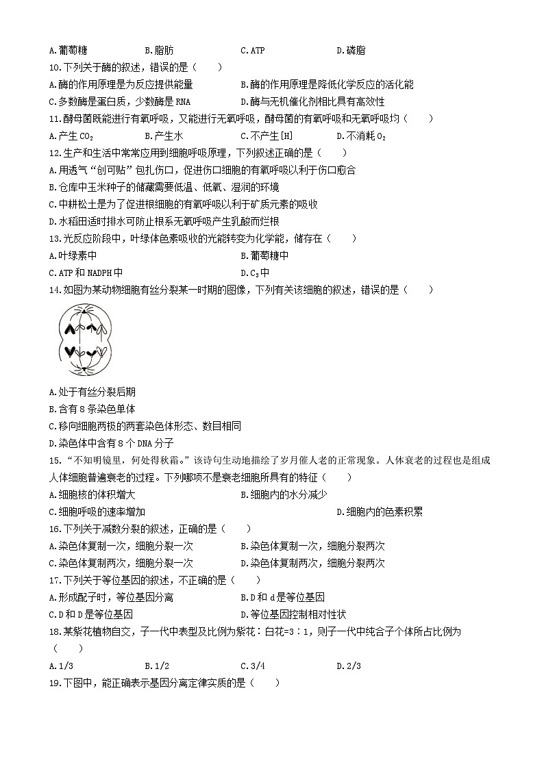 湖南省2024年普通高中学业水平合格性模拟考试高考生物仿真卷一02