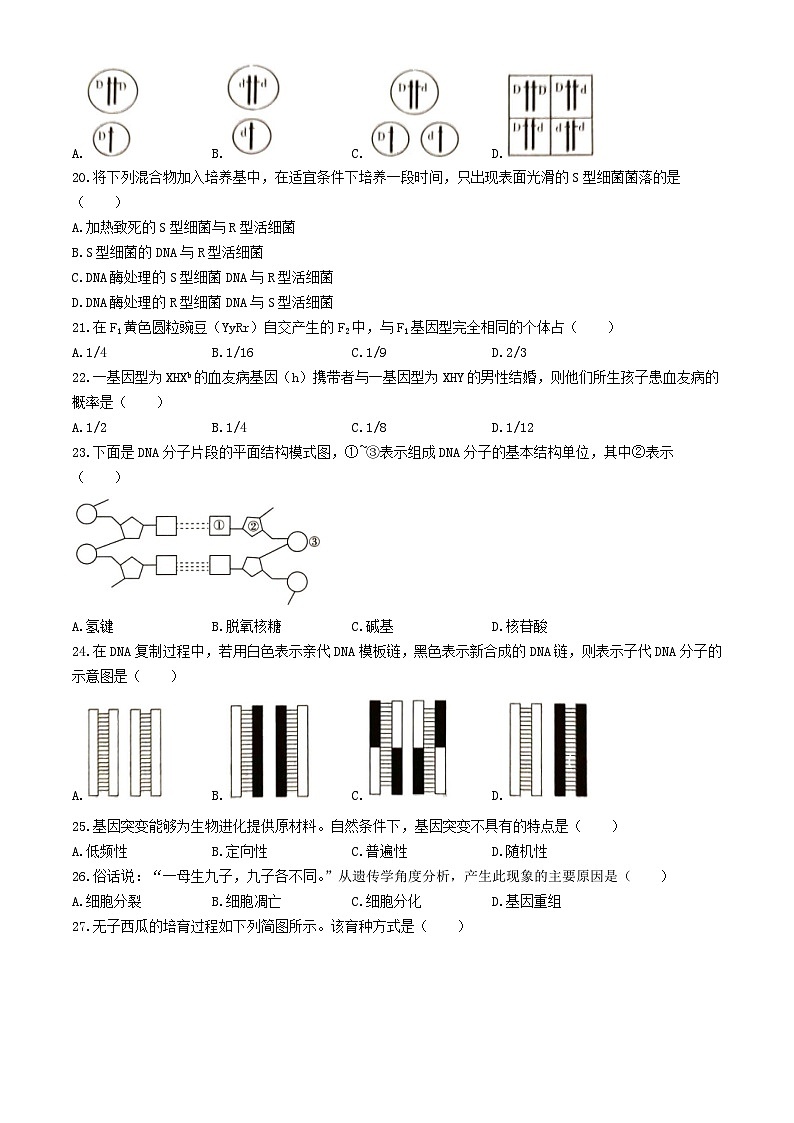 湖南省2024年普通高中学业水平合格性模拟考试高考生物仿真卷一03